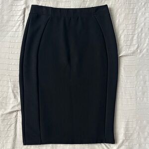 Gorgeous Zara Skirt